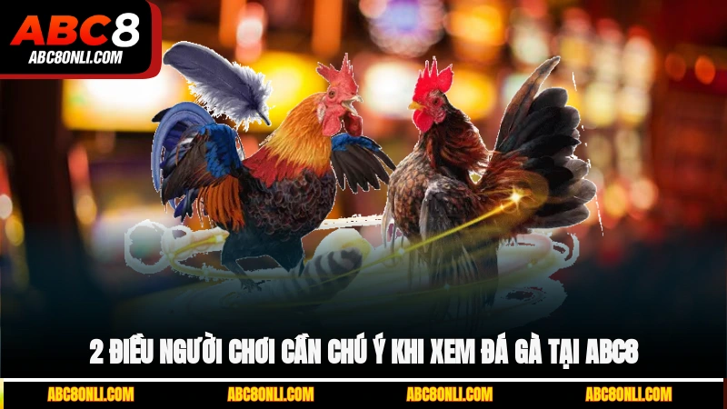2 điều người chơi cần chú ý khi xem đá gà tại ABC8