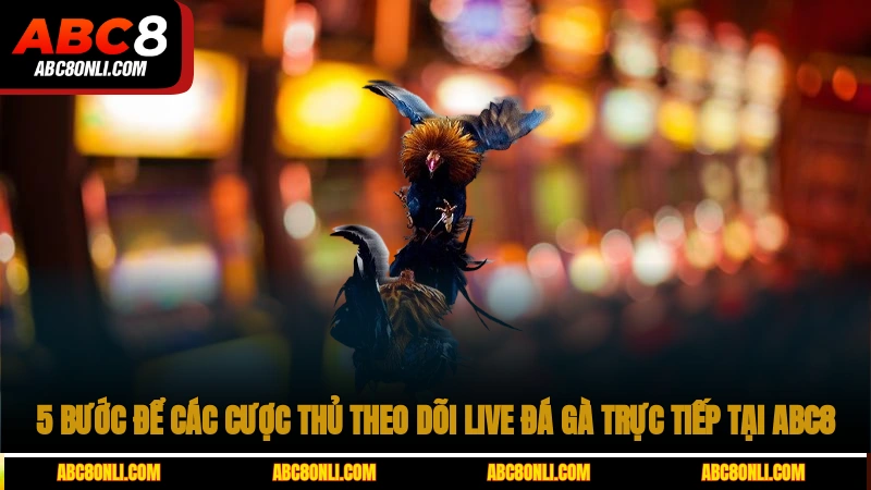 5 bước để các cược thủ theo dõi live đá gà trực tiếp tại ABC8
