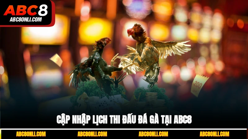 Cập nhập lịch thi đấu đá gà tại ABC8