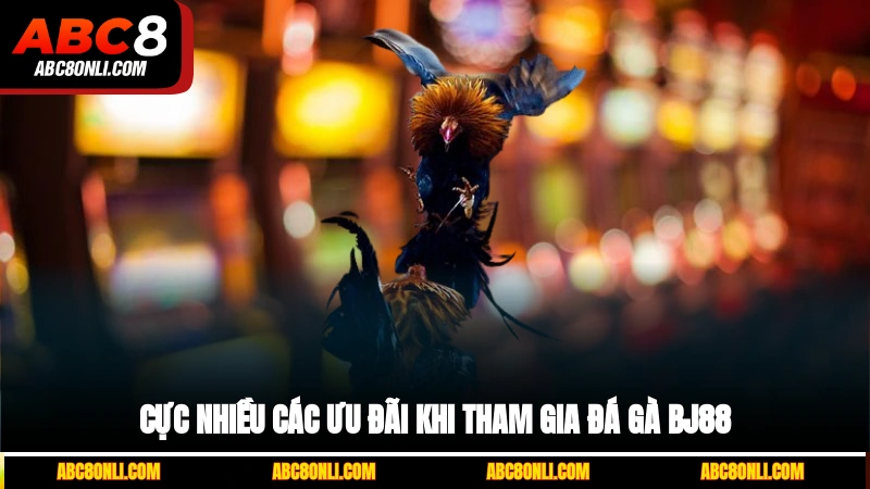 Cực nhiều các ưu đãi khi tham gia đá gà BJ88