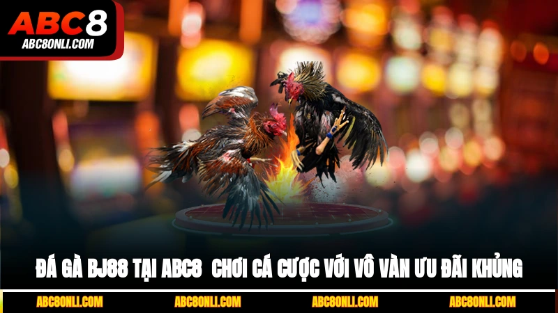 đá gà bj88