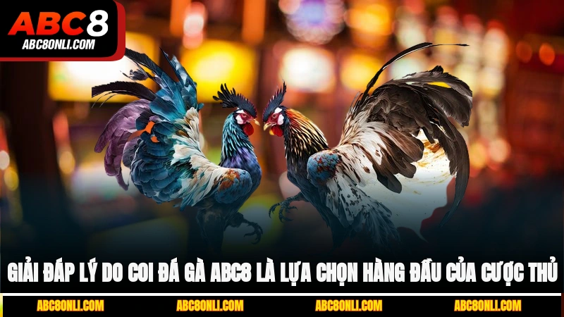 Giải đáp lý do coi đá gà ABC8 là lựa chọn hàng đầu của cược thủ