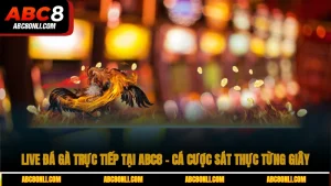 live đá gà trực tiếp