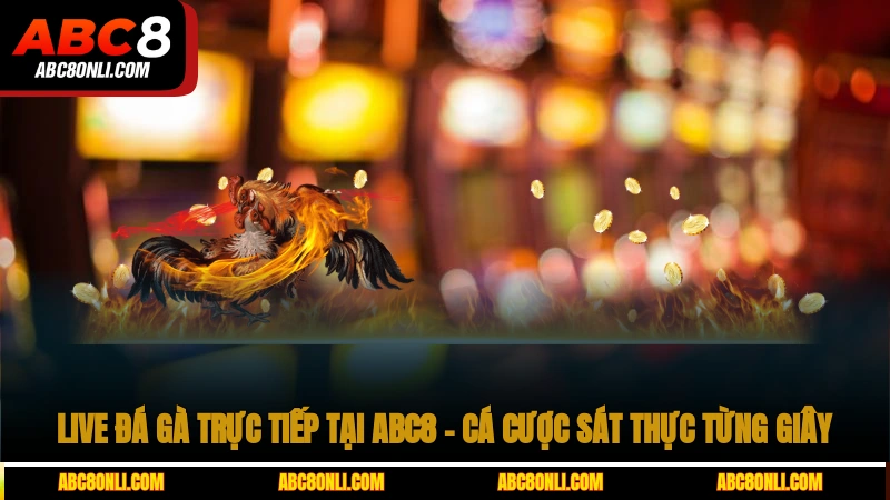 live đá gà trực tiếp