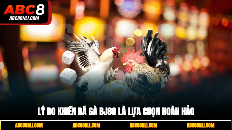 Lý do khiến đá gà BJ88 là lựa chọn hoàn hảo
