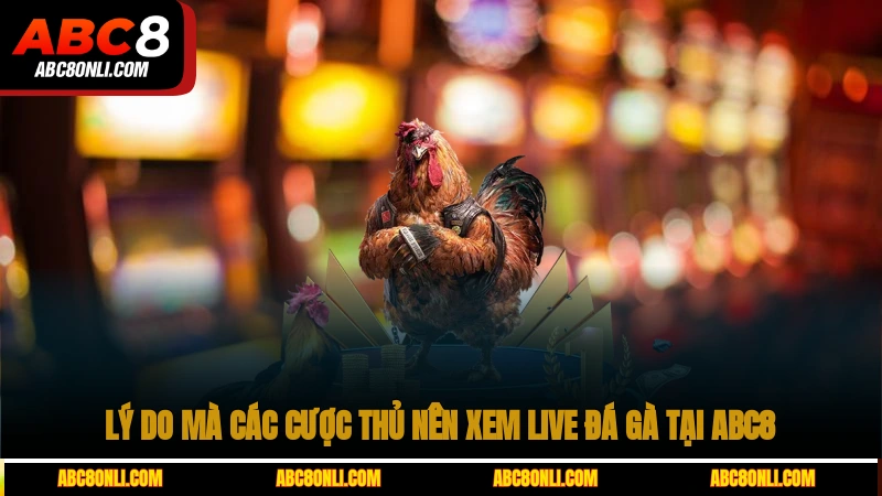 Lý do mà các cược thủ nên xem live đá gà tại ABC8